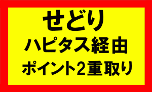 電脳せどりハピタス経由でポイント2重取り