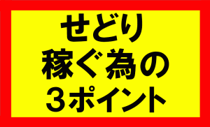 せどりで稼ぐ為の3つのポイント