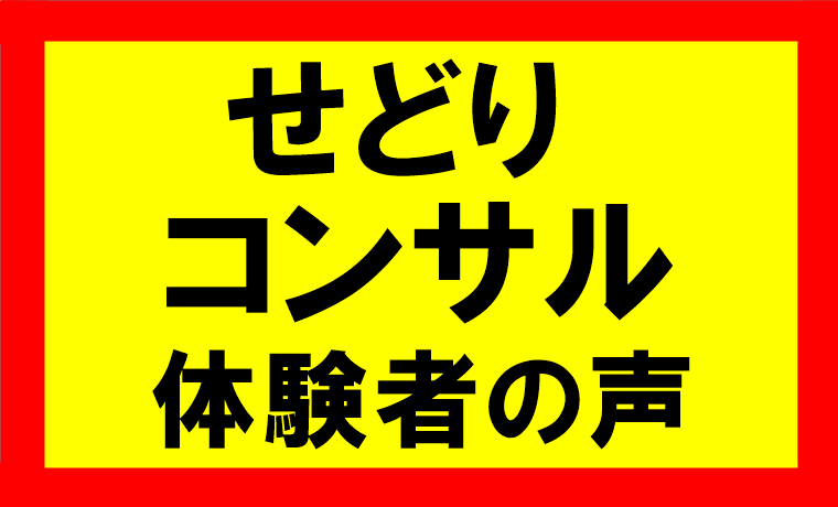 せどりコンサル体験者の声