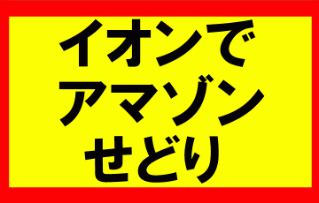 アマゾンせどりイオン