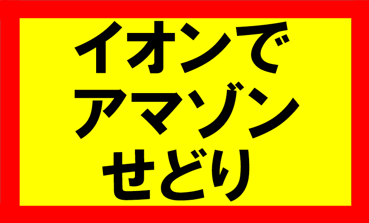 アマゾンせどりイオン