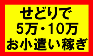 アマゾンせどりで5万、10万のお小遣い稼ぎ