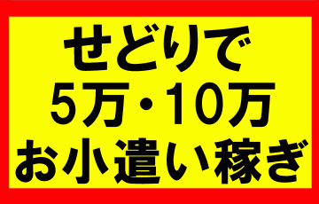 アマゾンせどりで5万、10万のお小遣い稼ぎ