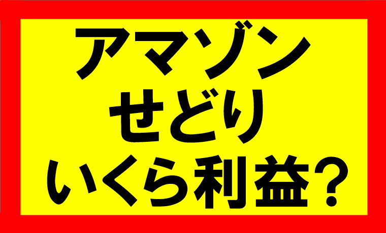 アマゾンせどり、どれくらい利益がでるか？