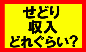 Amazonせどりの収入はどれぐらいになるのか？