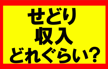 Amazonせどりの収入はどれぐらいになるのか？