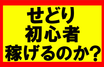 せどり初心者でも稼げるのか？