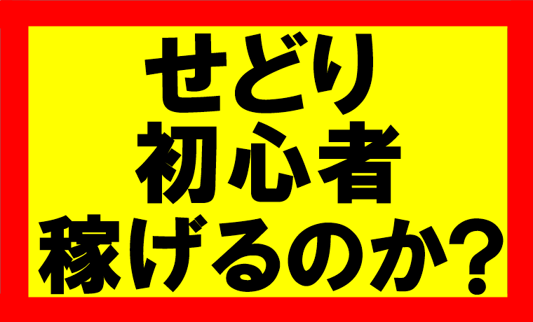 せどり初心者でも稼げるのか？