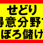 Amazonせどり、得意ジャンル・得意カテゴリーを作り、売り上げを2倍3倍にしていく