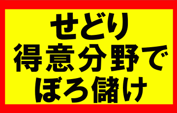 Amazonせどり、得意ジャンル・得意カテゴリーを作り、売り上げを2倍3倍にしていく